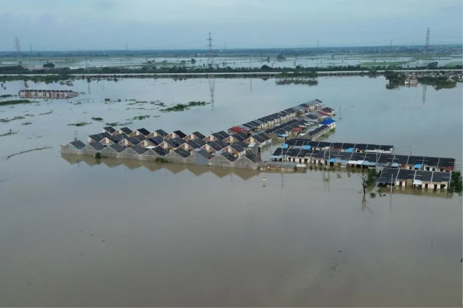 Kabupaten Bekasi Darurat Banjir Balita Dievakuasi di Tengah Luapan Kali CBL