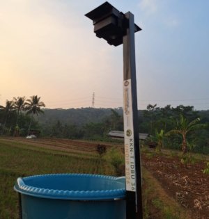 Mahasiswa KKN-T IDBU 36 UNDIP Edukasi Energi Terbarukan dan Hadirkan Smart Light Trap untuk Pengendalian Hama Jagung