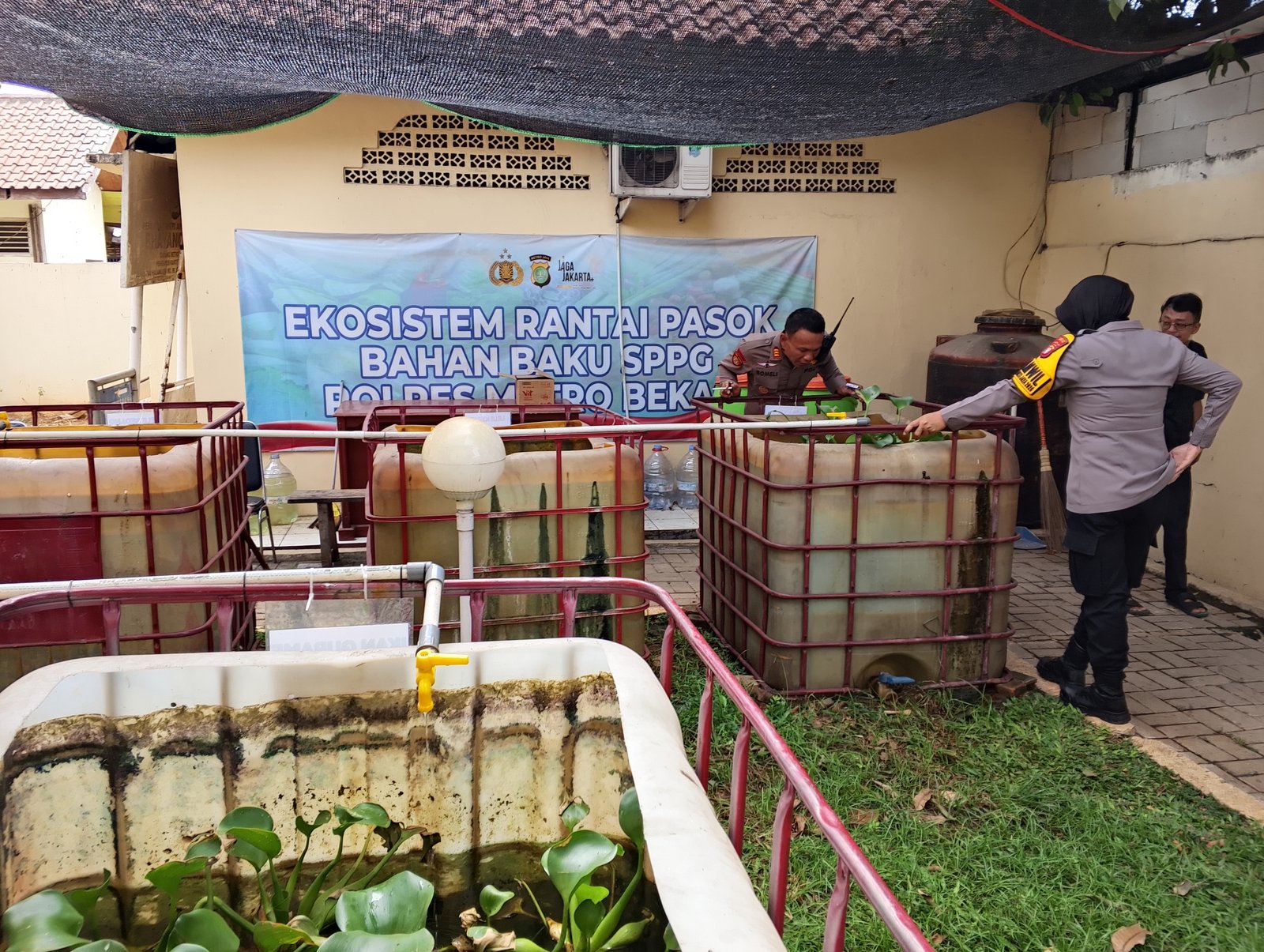 Kapolsek Tambun Selatan Wuryanti Pantau Budidaya Ikan untuk Dukung Rantai Pasok SPPG