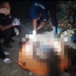 Jasad Pria Hangus Terbakar Ditemukan di Toyogiri Selatan Bekasi, Polisi Dalami Penyebabnya